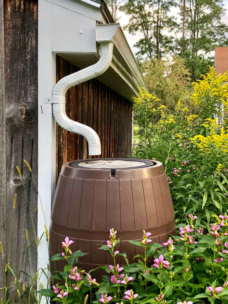Eco-friendly rainwater harvesting setup promoting sustainability at Anvika Adobe